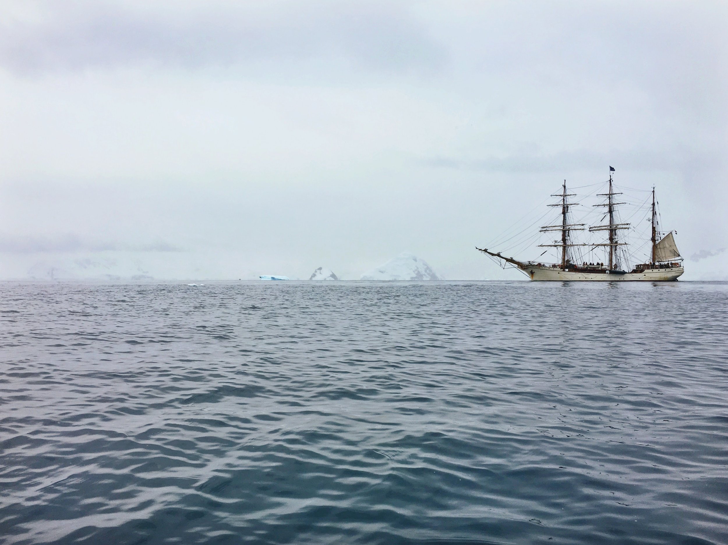 A ship's helm, echoing the origin of the Kubernetes name