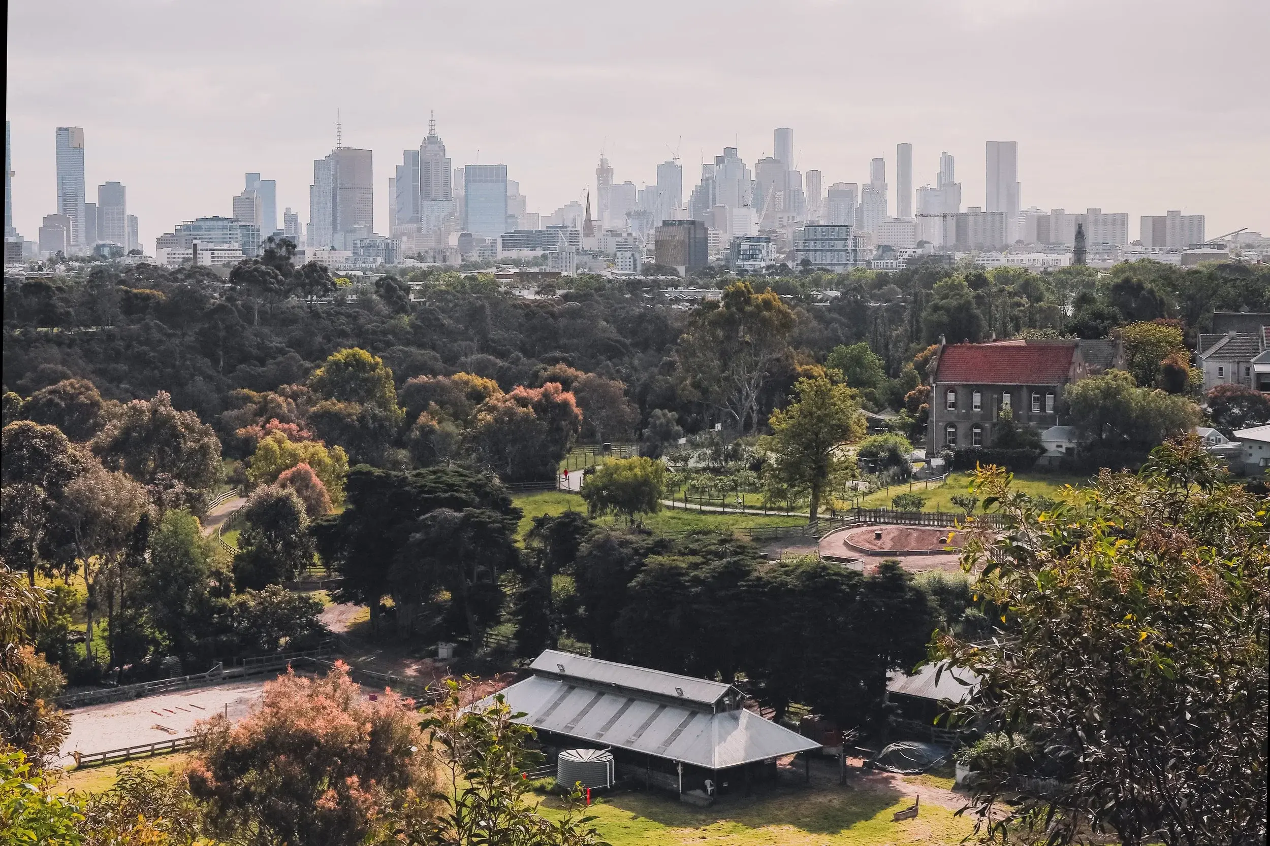 City buildings surrounded by green trees and nature