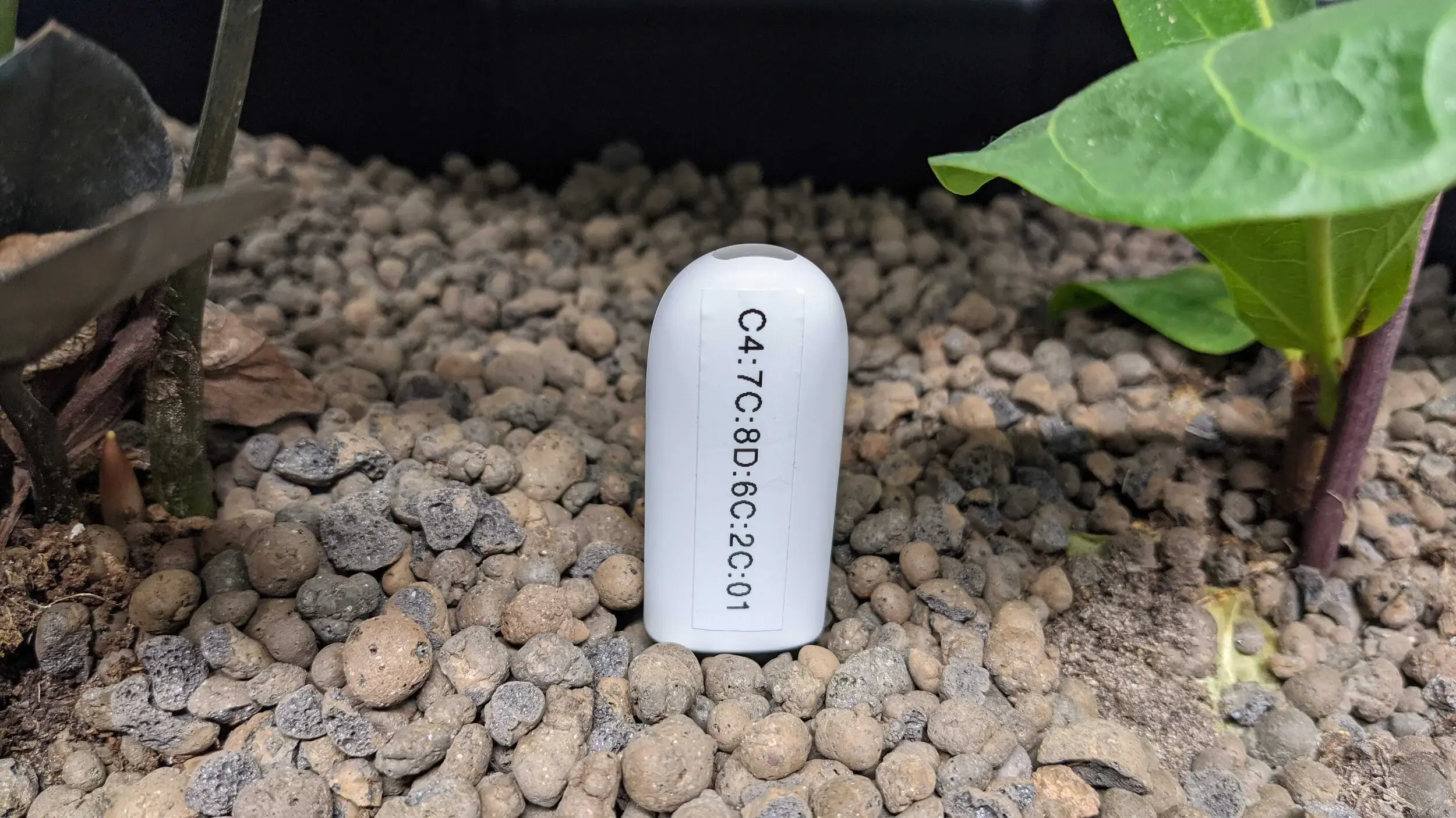 A plant sensor stick placed in a pot of soil